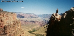 Jools - Grand Canyon