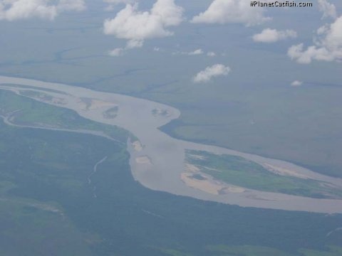 An aerial view of the Rio Meta, Colombia just a few miles upstream from where it meets the Orinoco.
