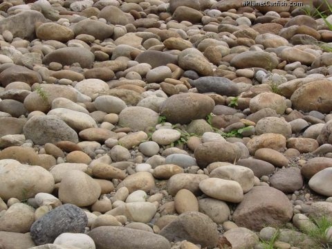 Substrate of rounded pebbles