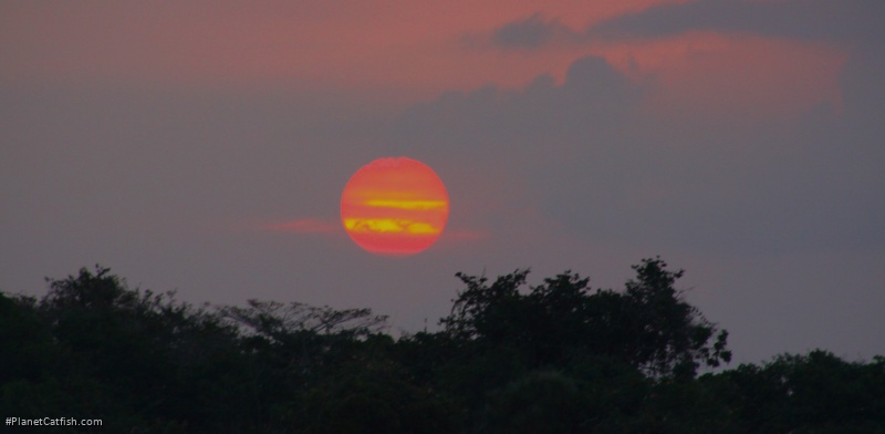 Sunset on the Rio Xingu