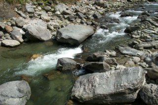 Habitat: River Rishi