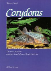Corydoras, The most popular catfishes of South America