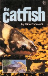 The Catfish