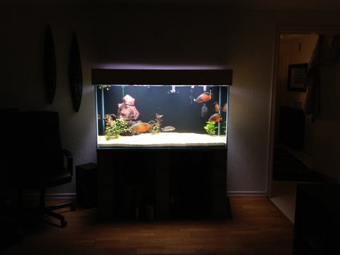 Our 600Liter Tank.