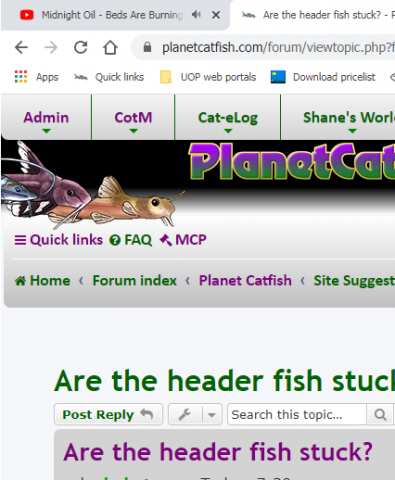 fishes 3.png