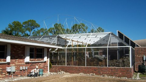 Greenhouse 4.JPG